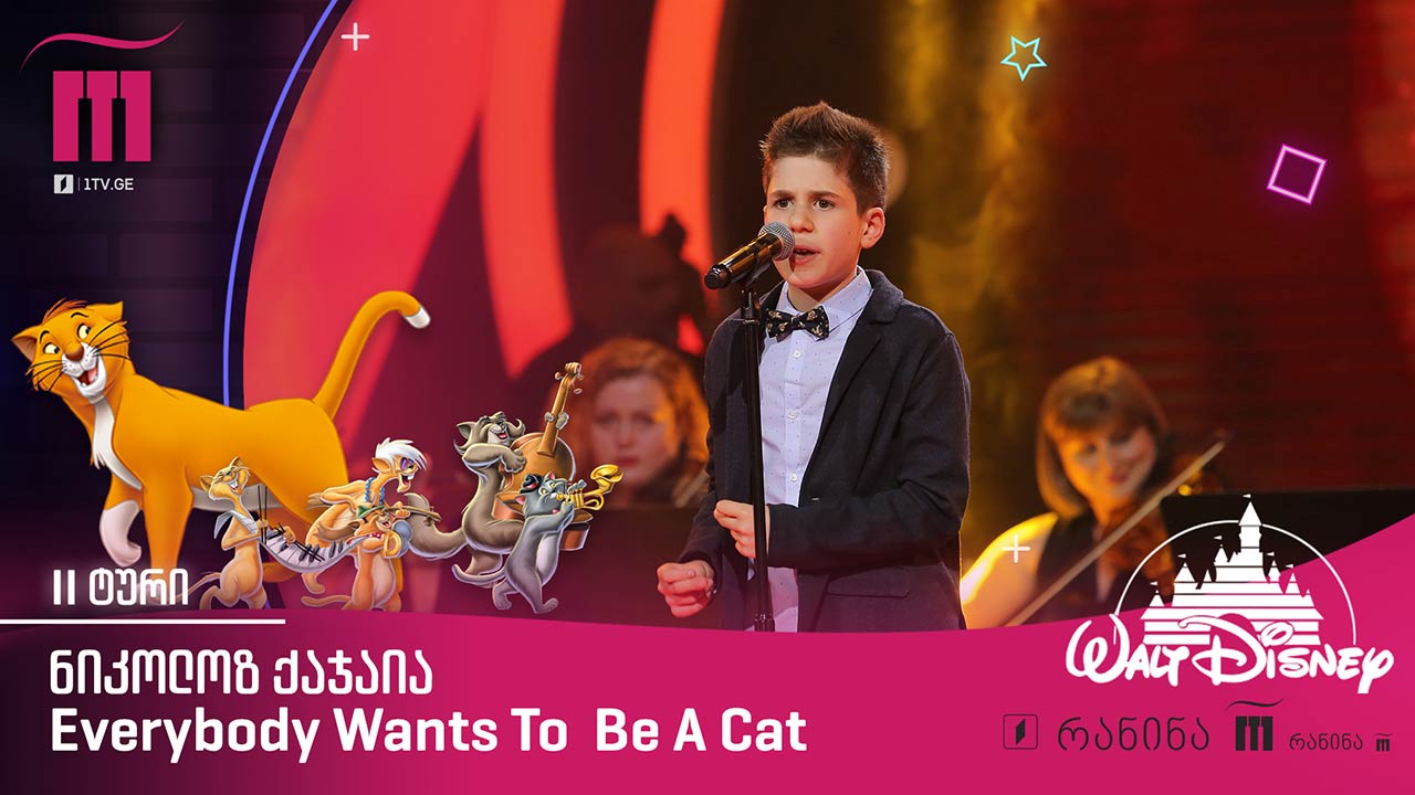 #რანინა ნიკოლოზ ქაჯაია / Nikoloz Kajaia – Everybody Wants To Be A Cat
