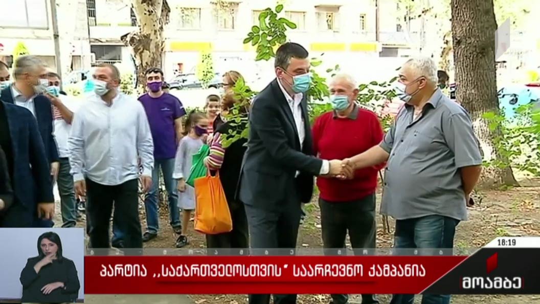 პარტიის „საქართველოსთვის“ საარჩევნო კამპანია