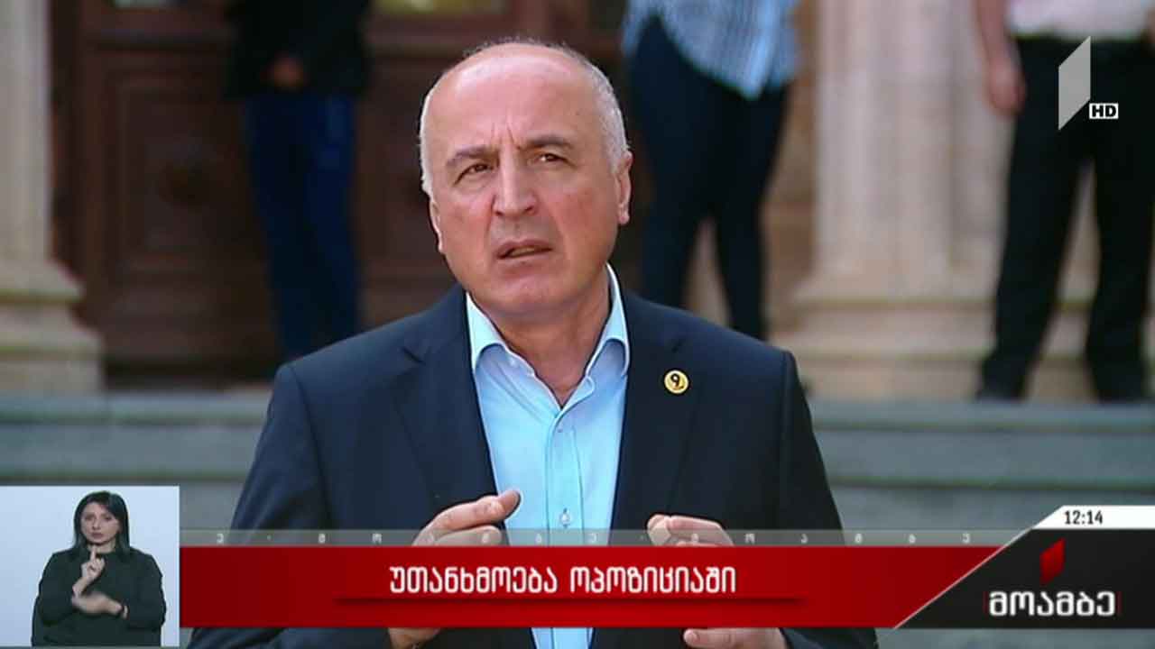 უთანხმოება ოპოზიციაში