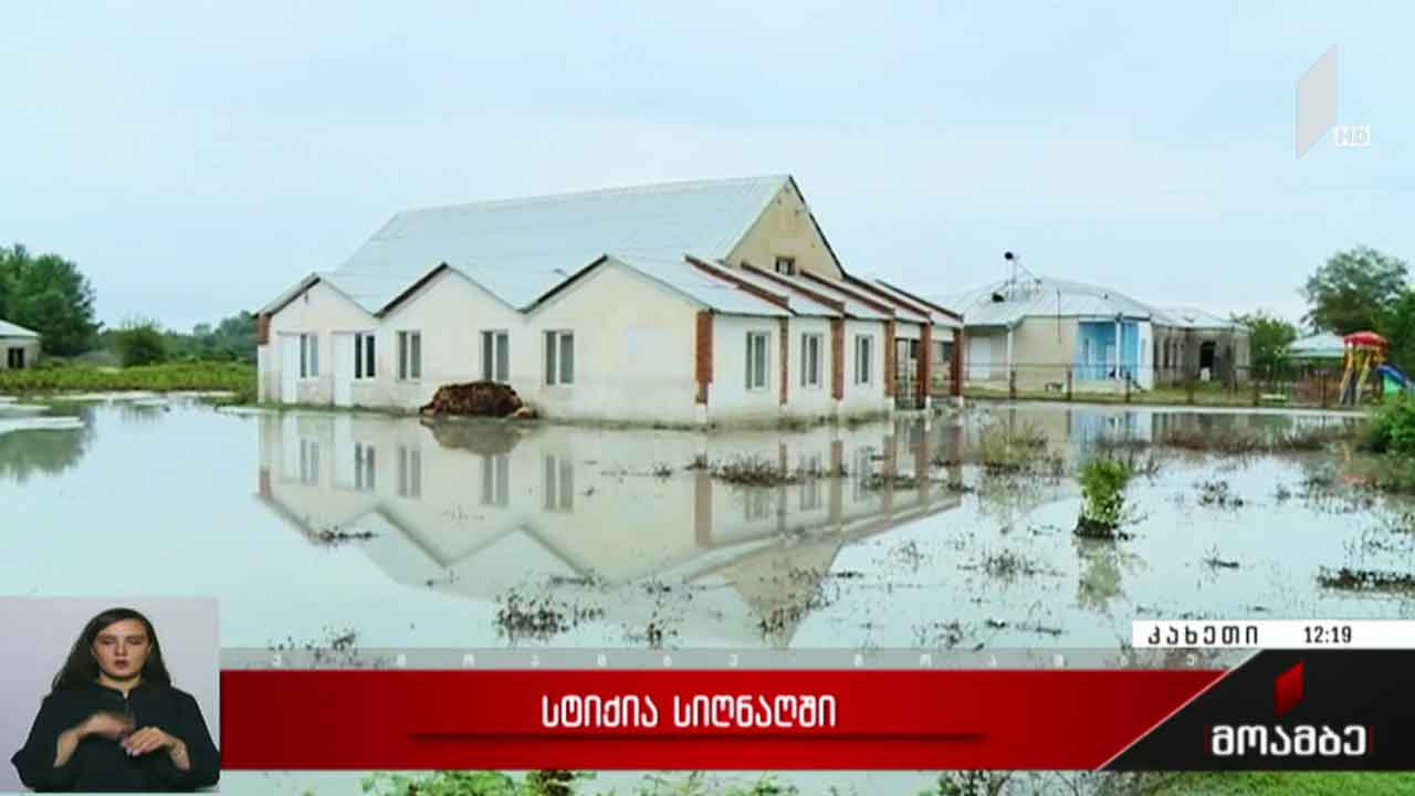 სტიქია სიღნაღში