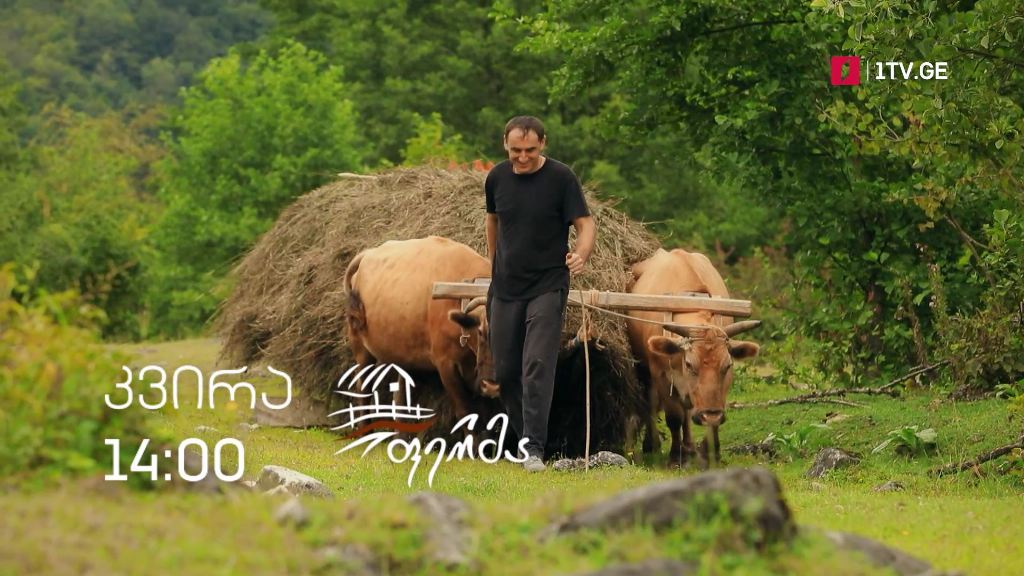 „ფერმა“ – 26 სექტემბერს, 14:00