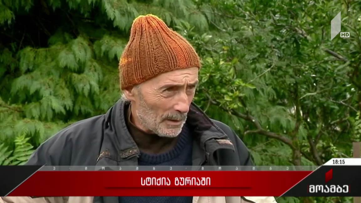 სტიქია გურიაში