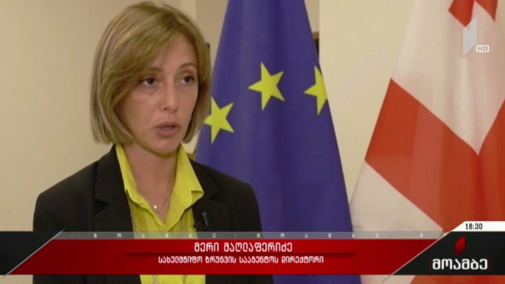 შშმ პირთა სტატუსის შეფასება 