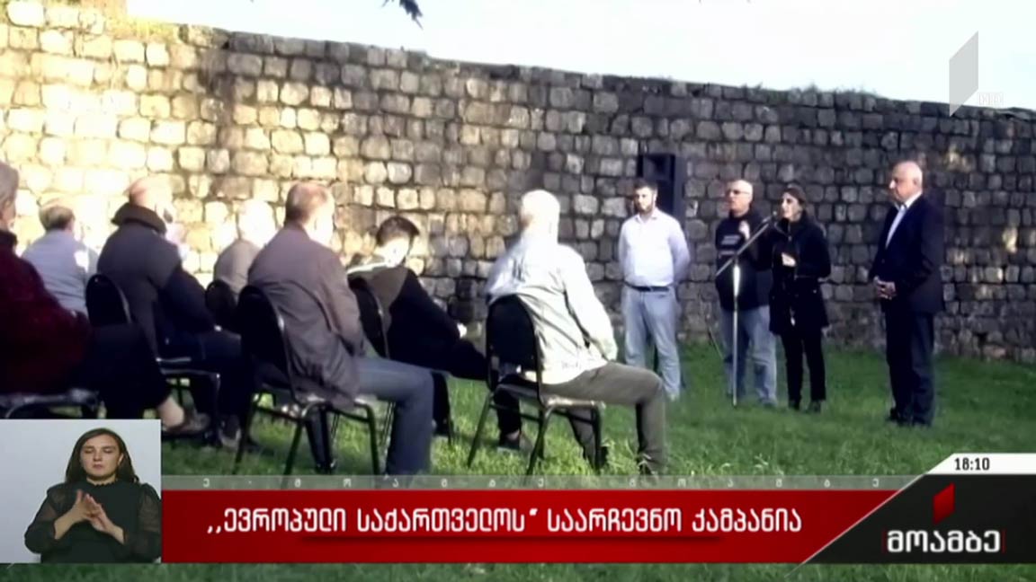 „ევროპული საქართველოს“ საარჩევნო კამპანია