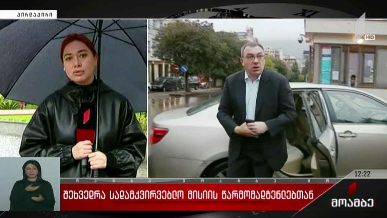 შეხვედრა სადამკვირვებლო მისიების წარმომადგენლებთან