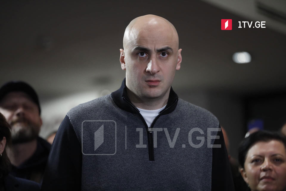 ნიკა მელიასთვის სადეპუტატო უფლებამოსილების შეწყვეტის საკითხი
