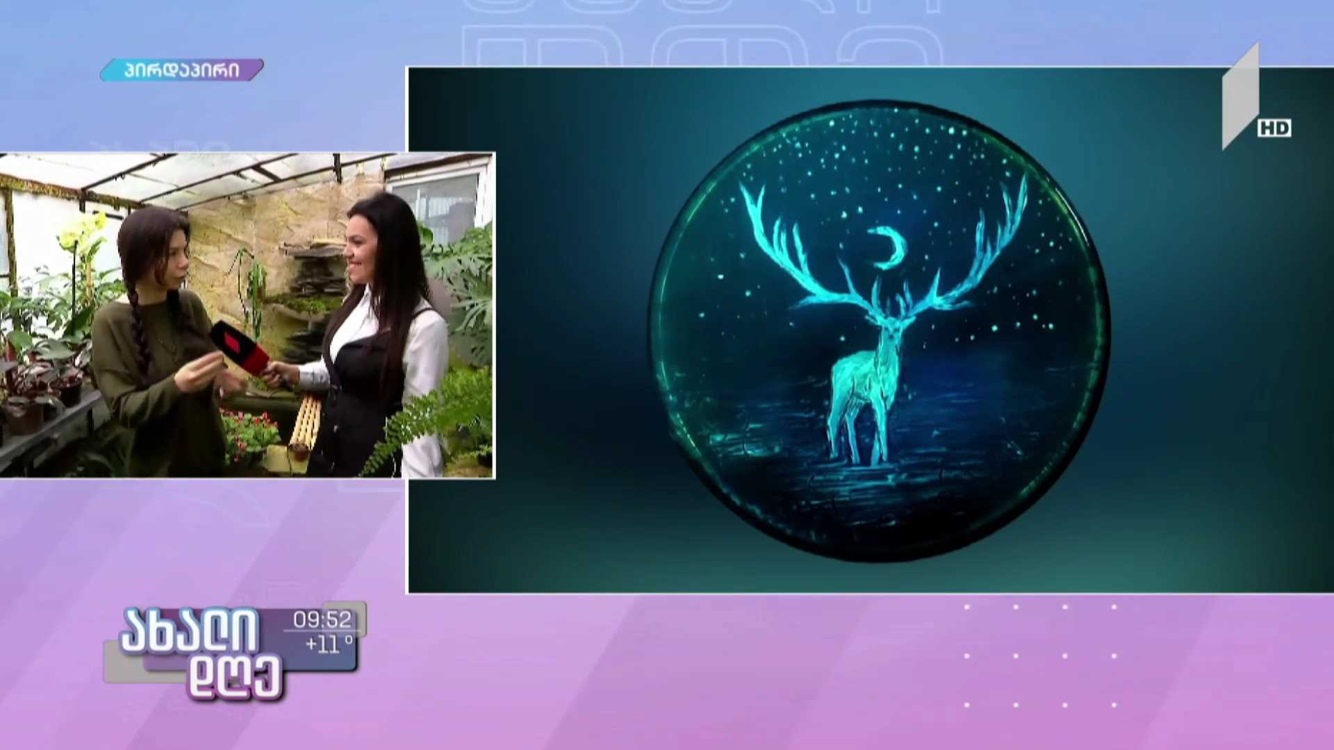  ეგზოტიკური მცენარეების ორანჟერეა, ბონსაის ჯიშის ხეები და ბაქტერიებით შექმნილი ნახატები #ახალდღეში