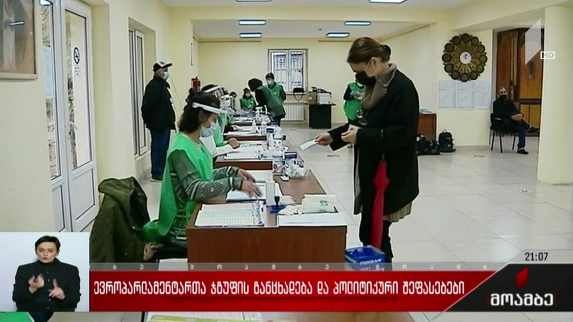 ევროპარლამენტართა ჯგუფის განცხადება და პოლიტიკური შეფასებები