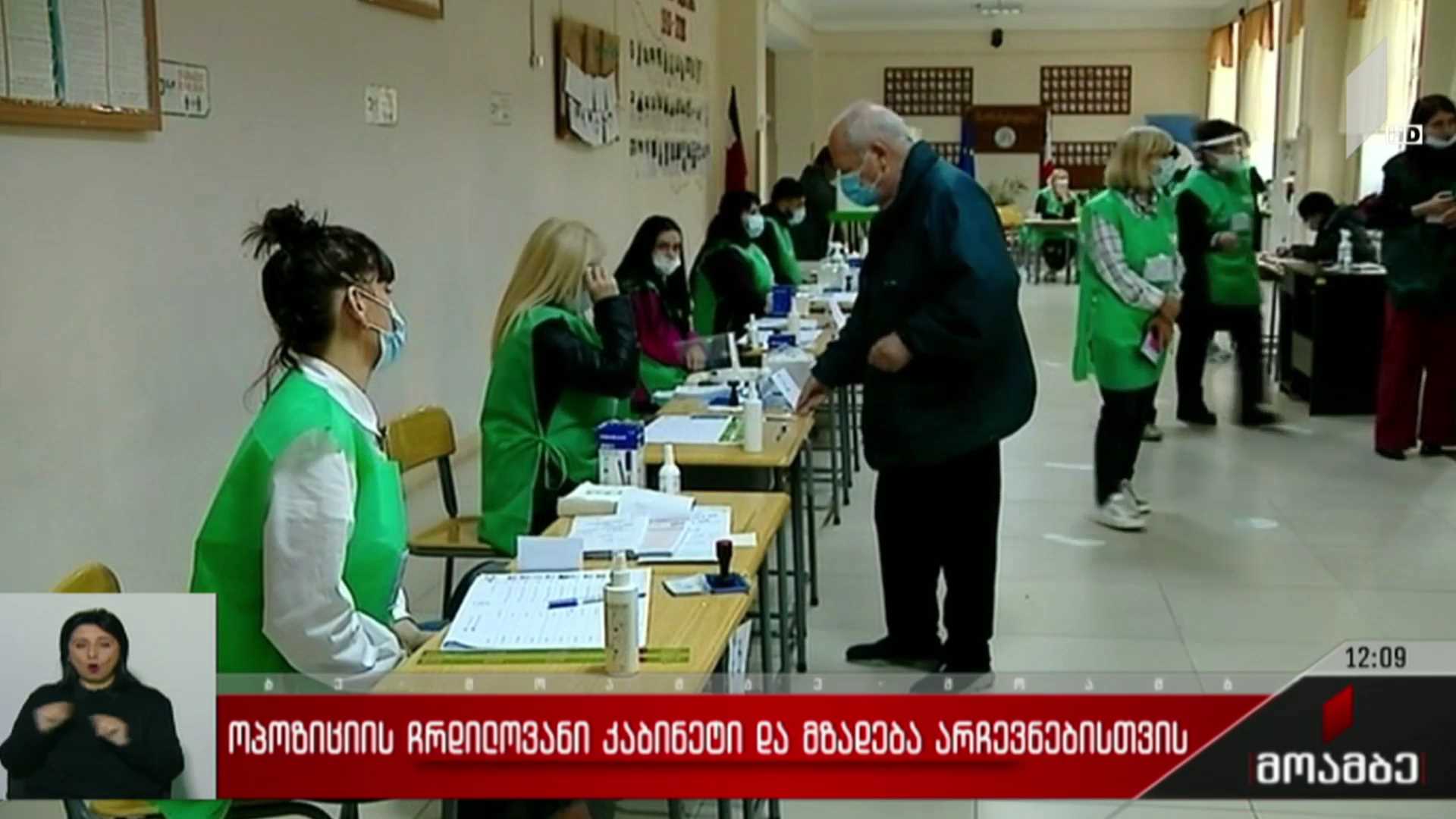 ოპოზიციის ჩრდილოვანი კაბინეტი და მზადება არჩევნებისთვის