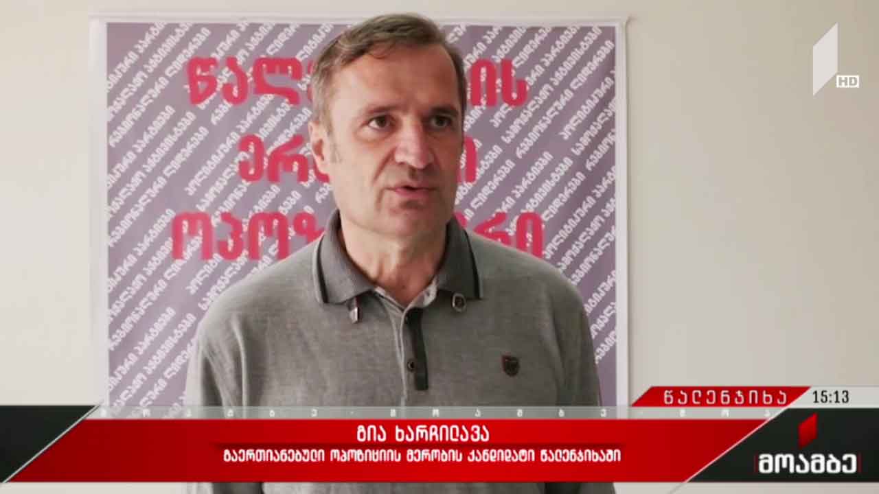 საარჩევნო კამპანია