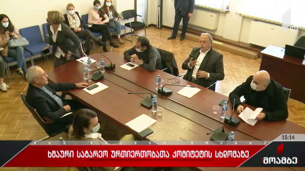 ხმაური საგარეო ურთიერთობათა კომიტეტის სხდომაზე