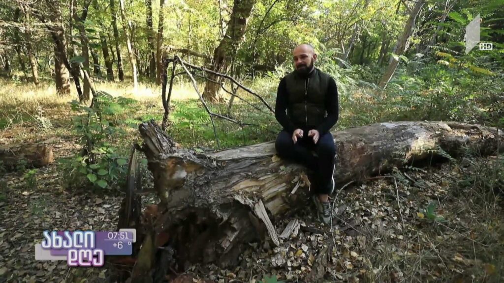 გიორგი ბერეჩიკიძე – ახალგაზრდა მეტყევე საკუთარი პროფესიისა და გამოცდილების შესახებ