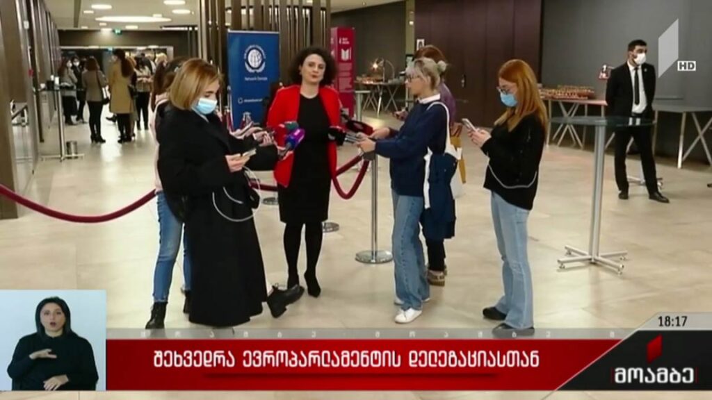 შეხვედრა ევროპარლამენტის დელეგაციასთან