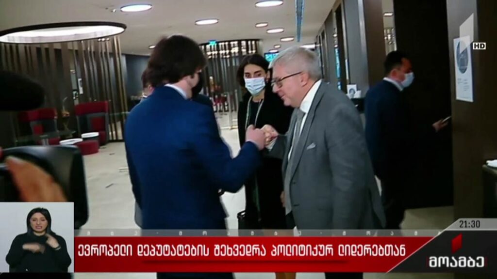ევროპელი დეპუტატების შეხვედრა პოლიტიკურ ლიდერებთან