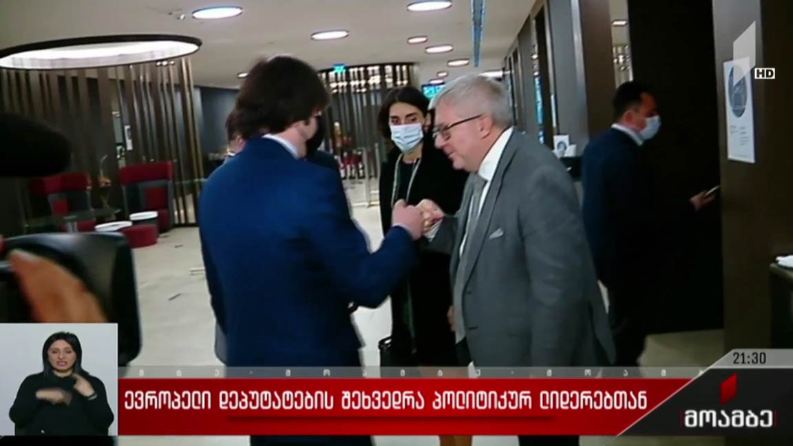 ევროპელი დეპუტატების შეხვედრა პოლიტიკურ ლიდერებთან