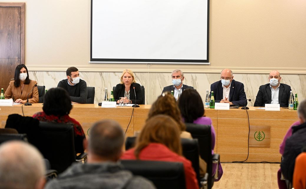 ნათია თურნავა კახეთში მცირე და საშუალო სასტუმროების და ტურისტული ობიექტების წარმომადგენლებს შეხვდა
