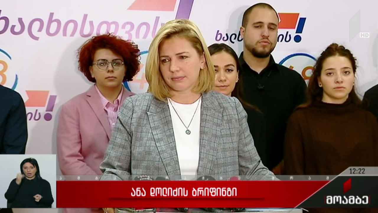 ანა დოლიძის ბრიფინგი