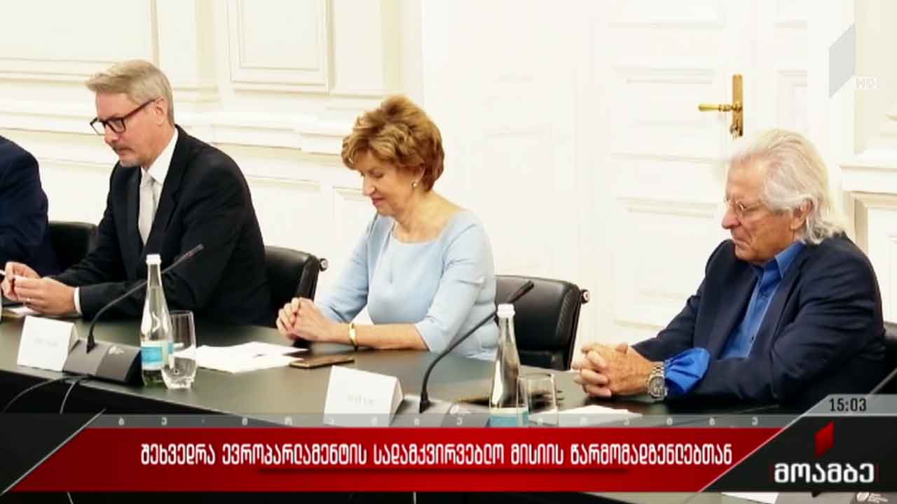 შეხვედრა ევროპარლამენტის სადამკვირვებლო მისიის წარმომადგენლებთან