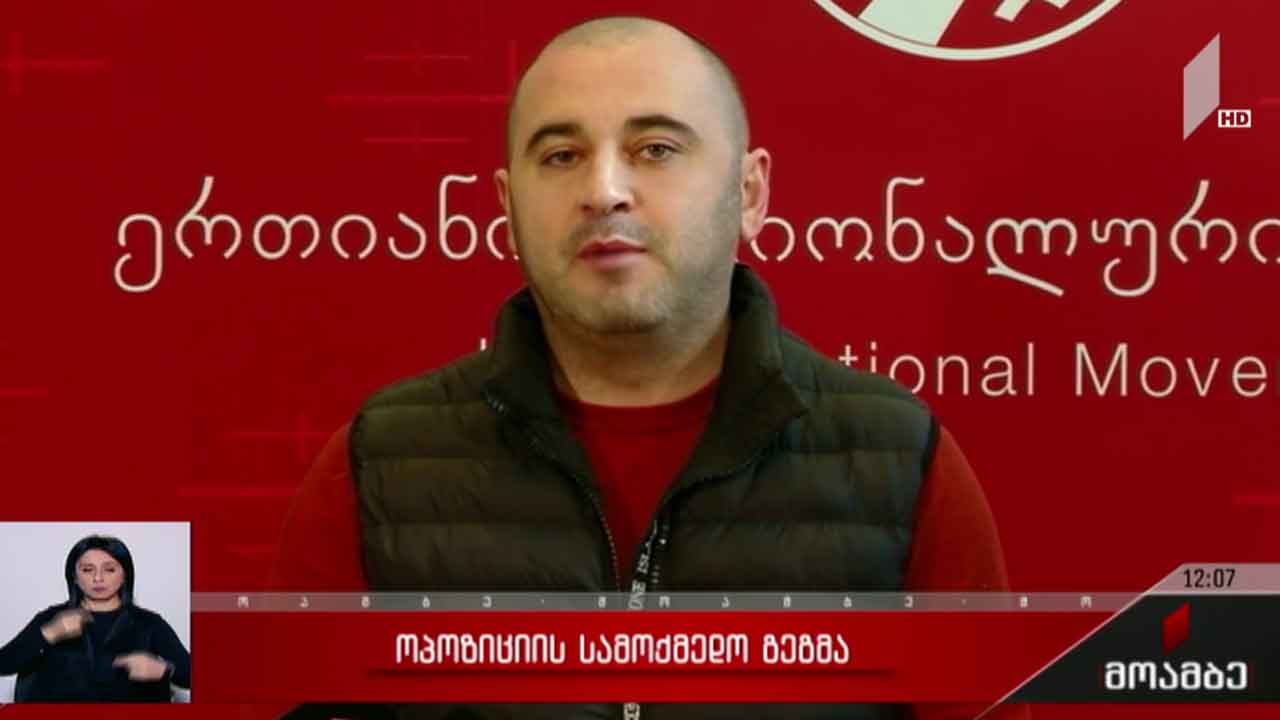 ოპოზიციის სამოქმედო გეგმა