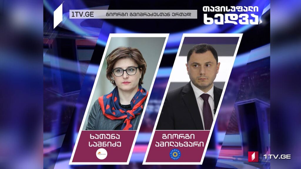 ოპოზიციის სამოქმედო გეგმა – ხათუნა სამნიძე / გიორგი ამილახვარი #თავისუფალიხედვა #LIVE