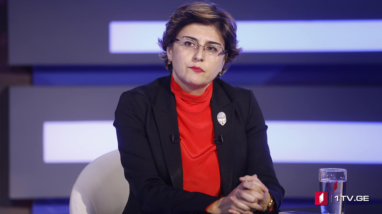ოპოზიციის სამოქმედო გეგმა - „თავისუფალი ხედვის“ შეკითხვებს ხათუნა სამნიძემ უპასუხა