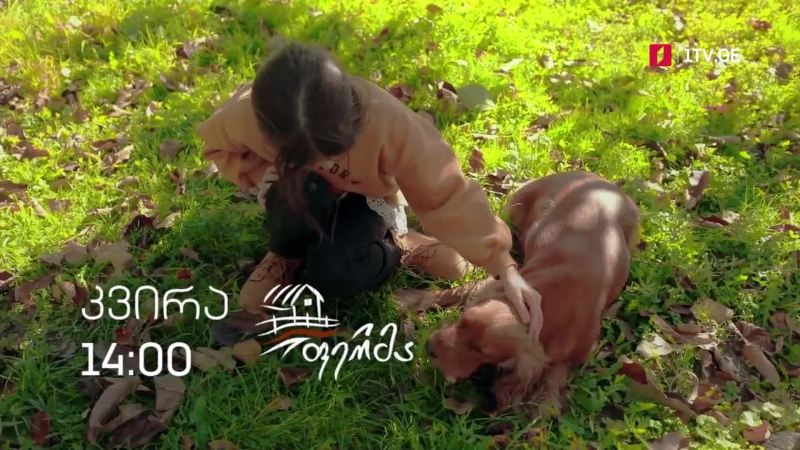 „ფერმა“ – 7 ნოემბერს, 14:00