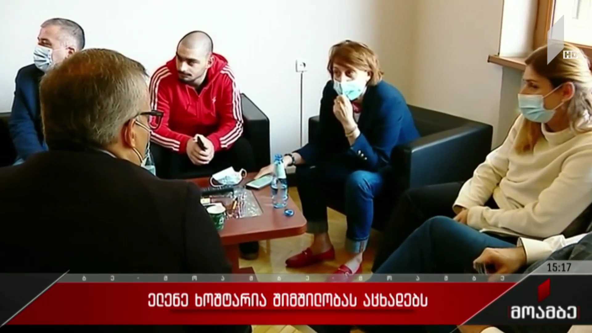 ელენე ხოშტარია პარლამენტში შიმშილობს