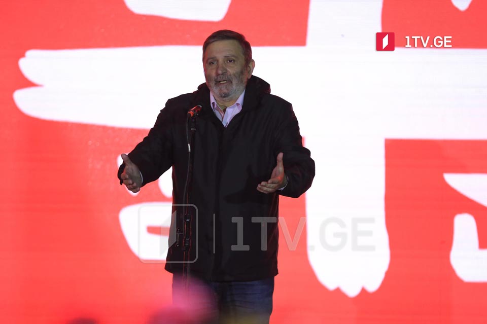 დავით დარჩიაშვილი - მიშა არ არის ბელადი, მიშა არის იდეა, რომელმაც გაგვაერთიანა