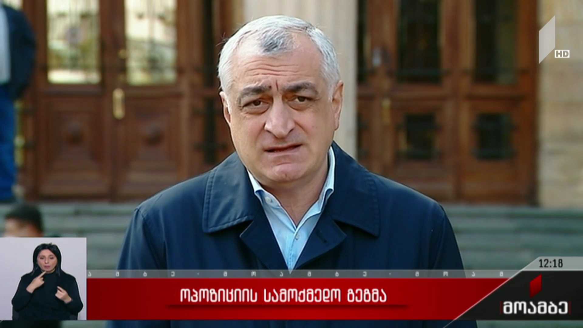 ოპოზიციის სამოქმედო გეგმა