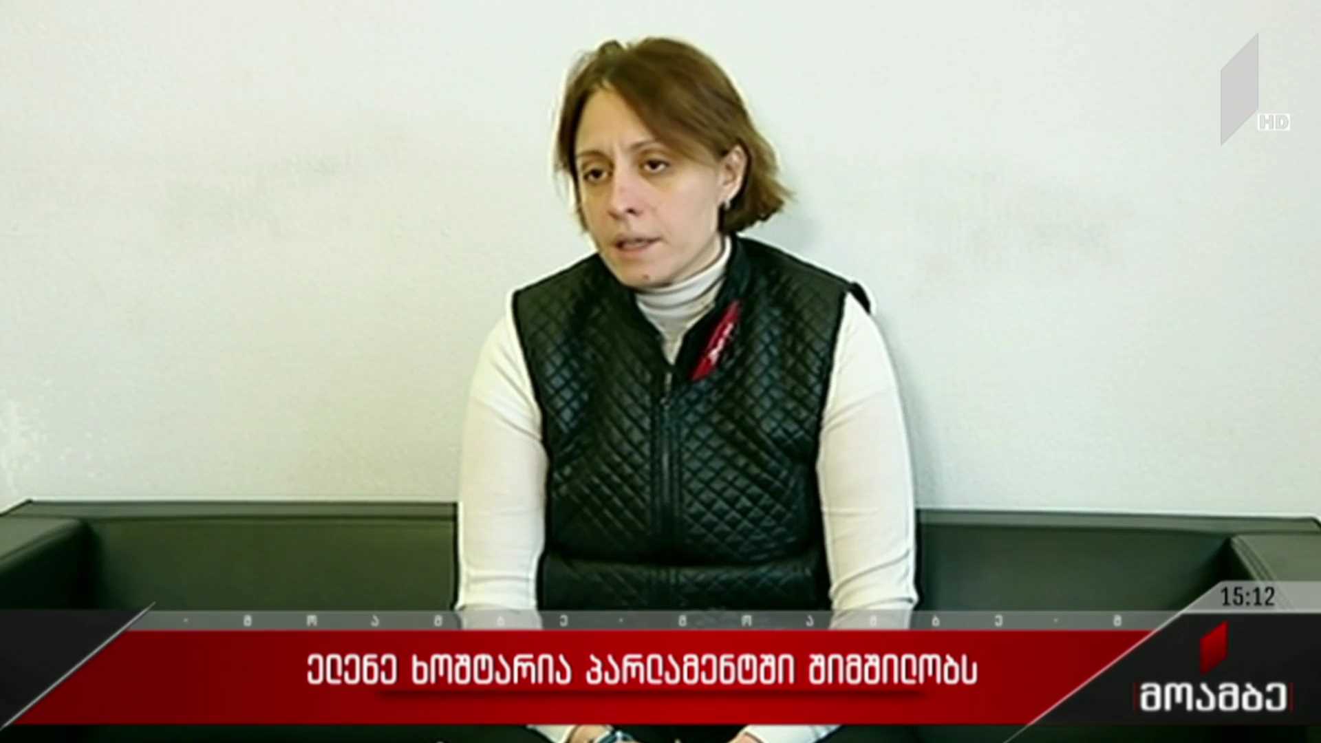 ელენე ხოშტარია პარლამენტში  შიმშილობს