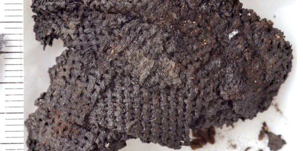 თურქეთში აღმოჩენილი ქვის ხანის ქსოვილები ტანსაცმლის წარმოების განსხვავებულ ისტორიას გვიყვება — #1tvმეცნიერება
