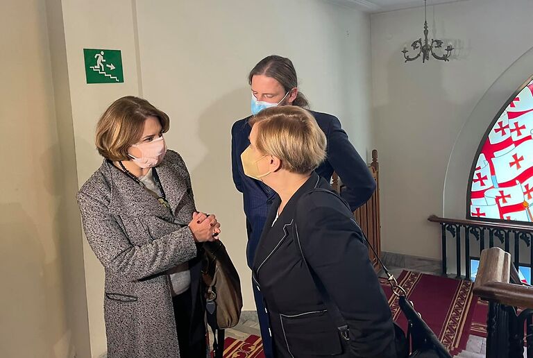 ანა ფოტიგა პარლამენტის თავმჯდომარეს შეხვდა