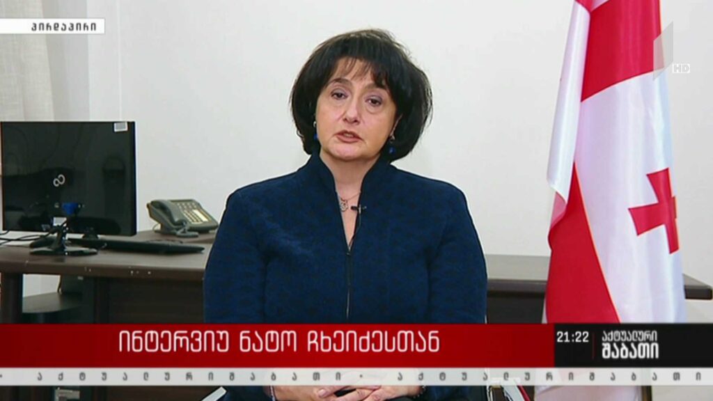 ინტერვიუ ნატო ჩხეიძესთან – რა არის ოპოზიციის მთავარი მიზანი – სააკაშვილის სამოქალაქო კლინიკაში გადაყვანა, თუ გათავისუფლება