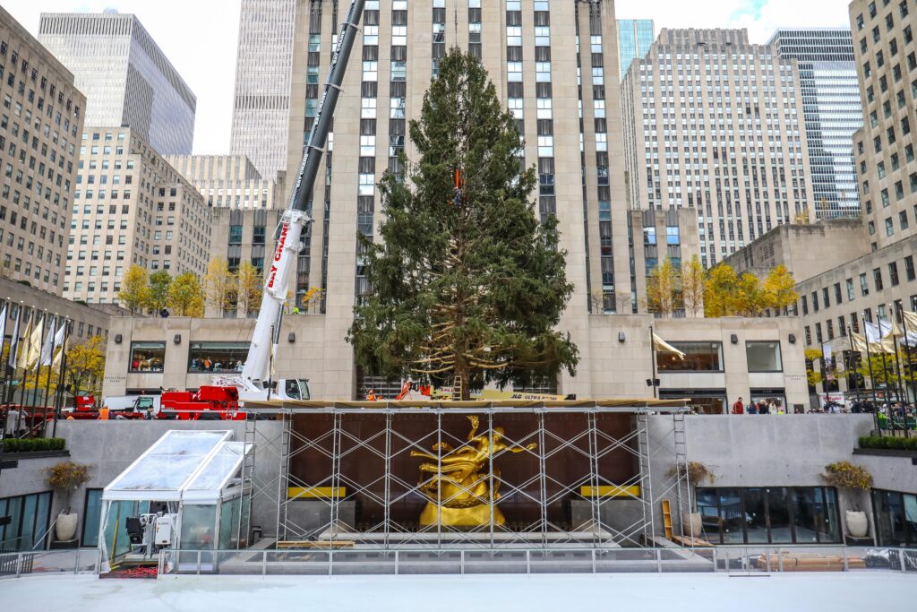 ნიუ იორკში ქალაქის მთავარი ნაძვის ხის ასაწყობად ემზადებიან