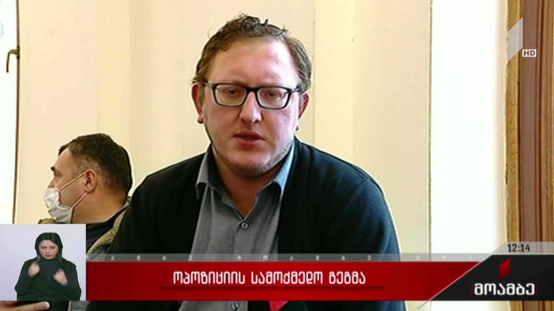 ოპოზიციის სამოქმედო გეგმა