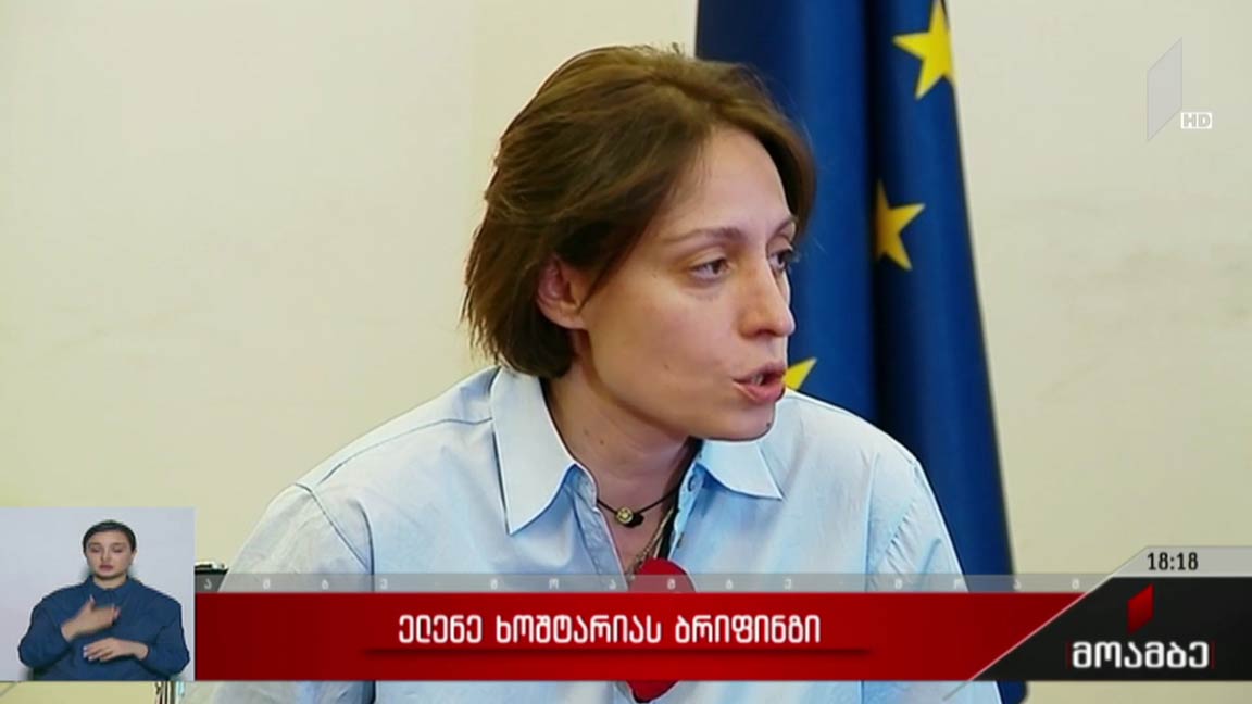 ელენე ხოშტარიას ბრიფინგი