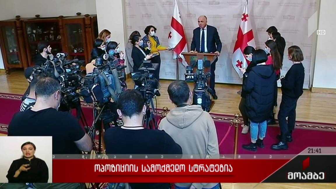 ოპოზიციის სამოქმედო სტრატეგია 