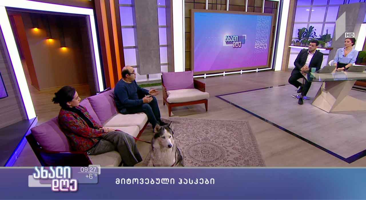 მიტოვებული ჰასკები