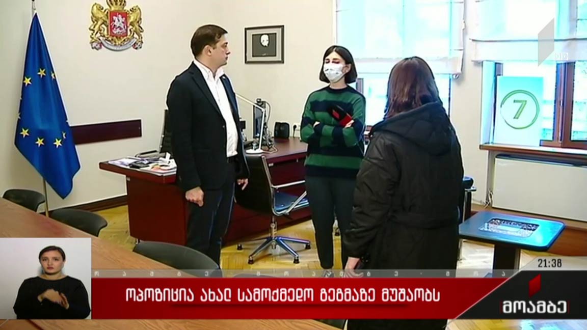 ოპოზიცია ახალ სამოქმედო გეგმაზე მუშაობს 
