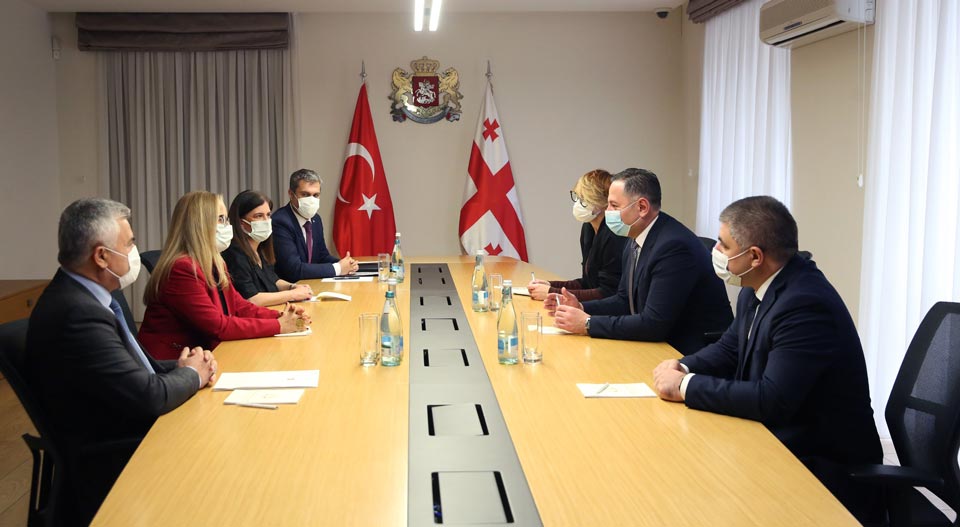 Вахтанг Гомелаури встретился с послом Турции в Грузии