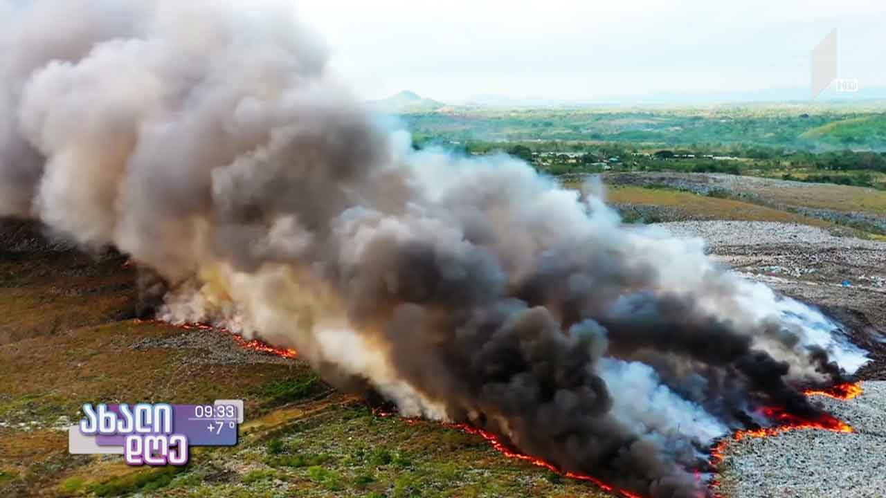 რჩევები - როგორ შევამციროთ ადამიანის უარყოფითი ზეგავლენა გარემოზე