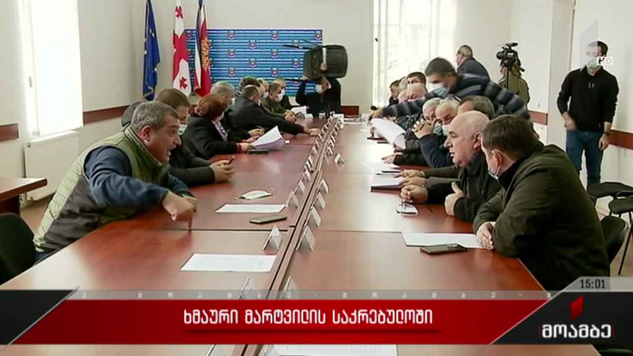 ხმაური მარტვილის საკრებულოში