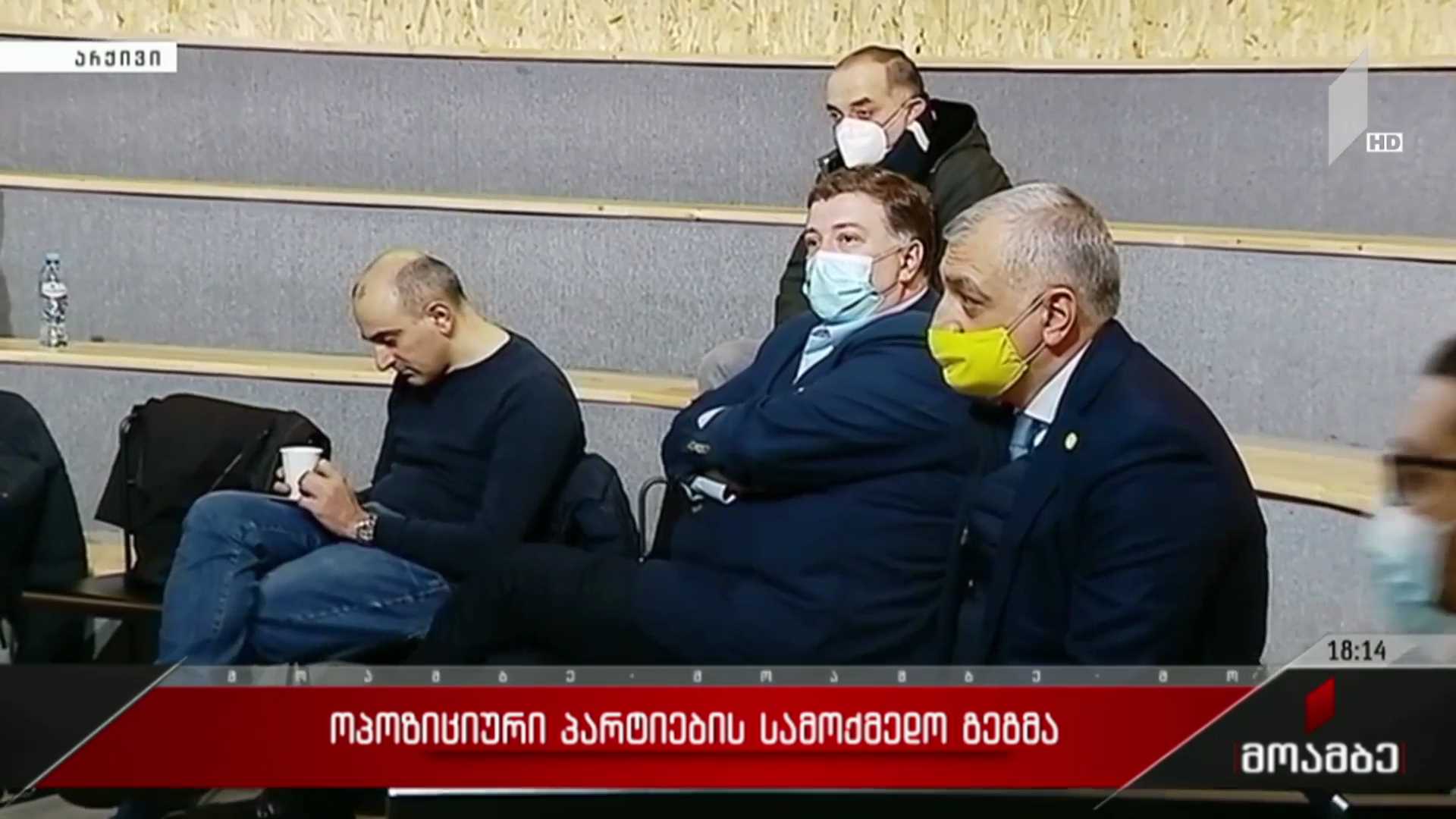 ოპოზიციური პარტიების სამოქმედო გეგმა