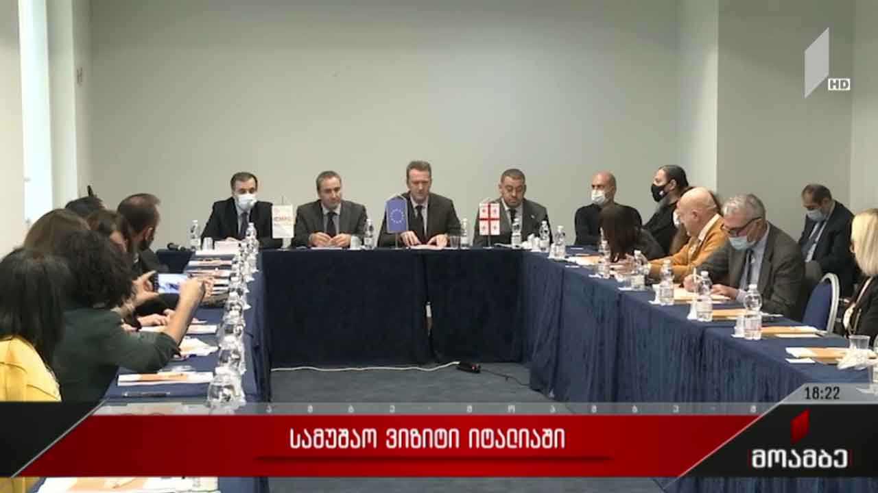 სამუშაო ვიზიტი იტალიაში