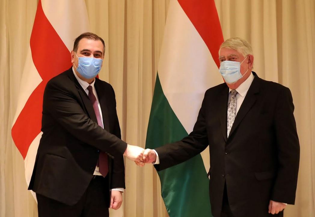 მიხეილ ჩხენკელმა უნგრელ კოლეგასთან თანამშრომლობის გაფართოების საკითხები განიხილა