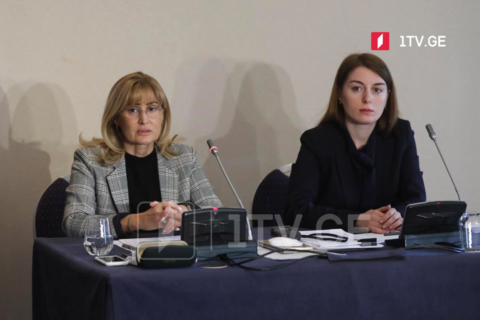 ნონა გაფრინდაშვილი „ნეტფლიქსის“ წინააღმდეგ - საქმის ახალი დეტალები