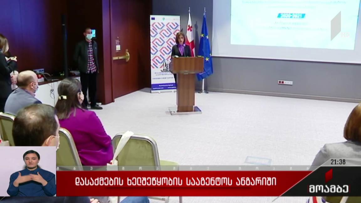 დასაქმების ხელშეწყობის სააგენტოს ანგარიში