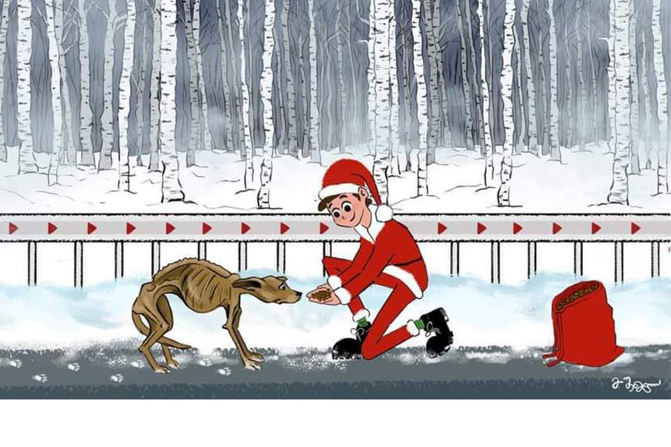 პიკის საათი - „გახდი სანტა მიუსაფარი ცხოველებისთვის“