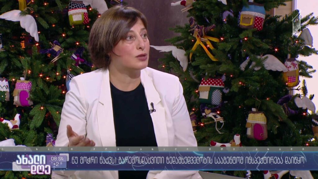 ნუ მოჭრი ნაძვს! – გარემოსდაცვითი ზედამხედველობის სააგენტომ ინსპექტირება დაიწყო