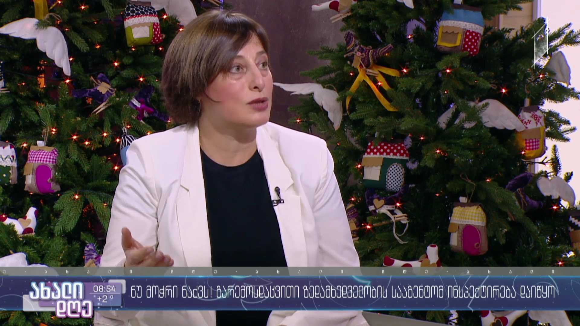 ნუ მოჭრი ნაძვს! - გარემოსდაცვითი ზედამხედველობის სააგენტომ ინსპექტირება დაიწყო